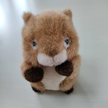 Amazon.co.jp: ジョイフルメイト 猫 リス ぬいぐるみ たけのこ